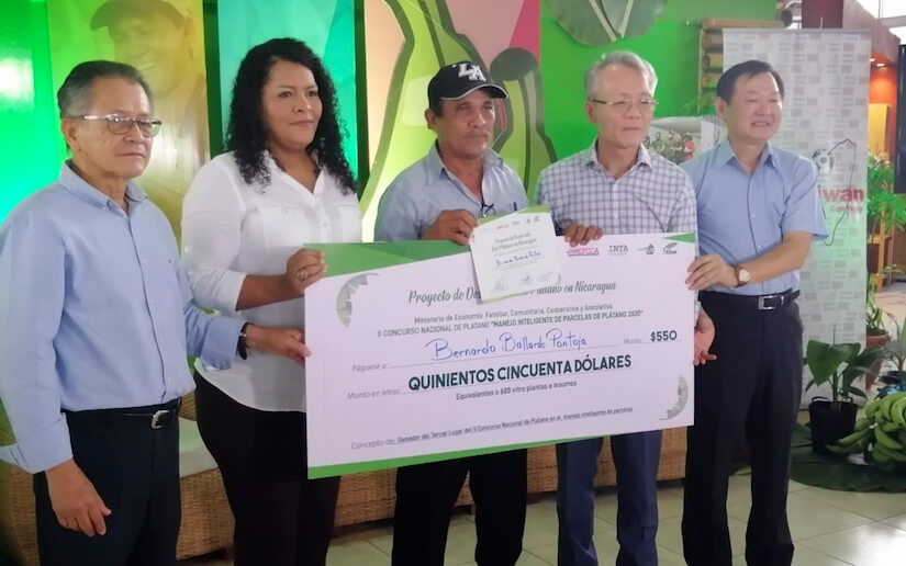 mefcca-concurso-platano
